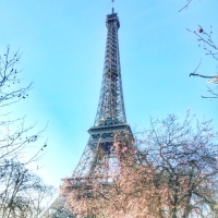 Spring in Paris
